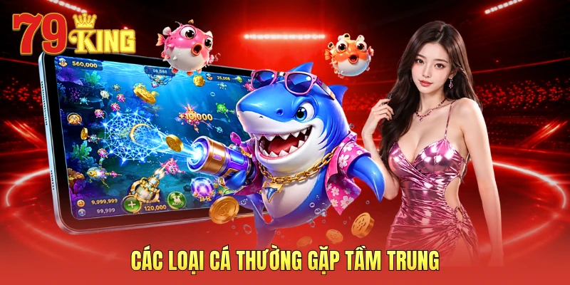 Các loại cá thường gặp tầm trung